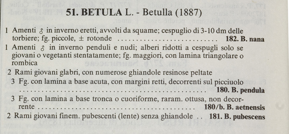 Domanda su Betula spp.
